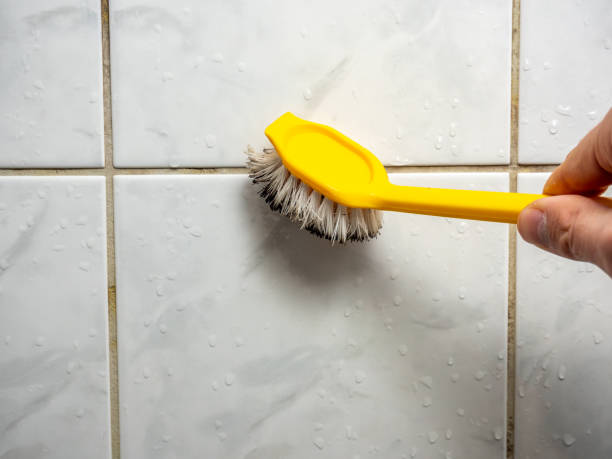 Best Bathroom Mold Remediation in Fairview Heights, IL