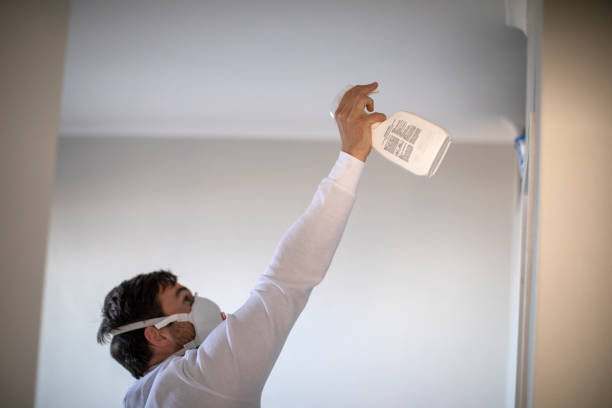 Best Basement Mold Remediation in Fairview Heights, IL