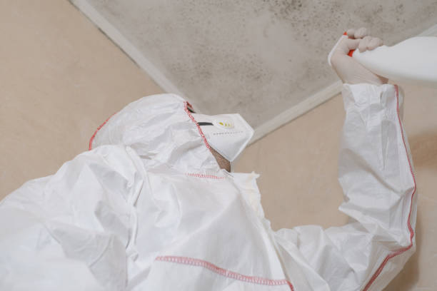 Best Industrial Mold Remediation in Fairview Heights, IL