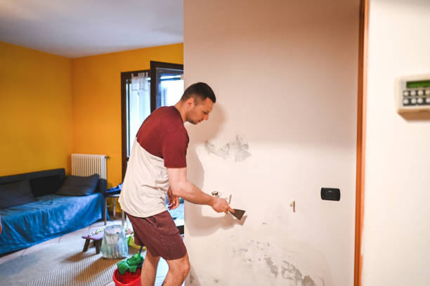 Best Kitchen Mold Remediation in Fairview Heights, IL